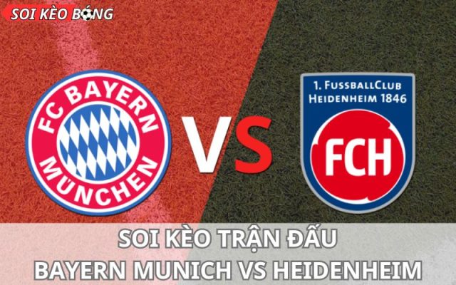 Soi kèo trận Bayern Munich vs Heidenheim 21h30 11/11