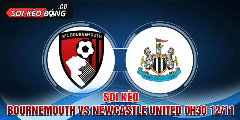Soi kèo bóng đá Bournemouth vs Newcastle United vào 0h30 sáng 12/11
