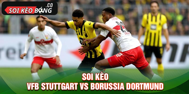 Soi kèo trận VfB Stuttgart vs Borussia Dortmund 21h30 tối 11/11